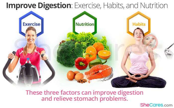 Best nutritional healthy habits for optimal digestion and energy