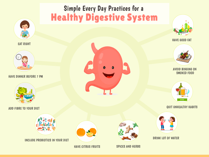 Best nutritional healthy habits for optimal digestion and energy
